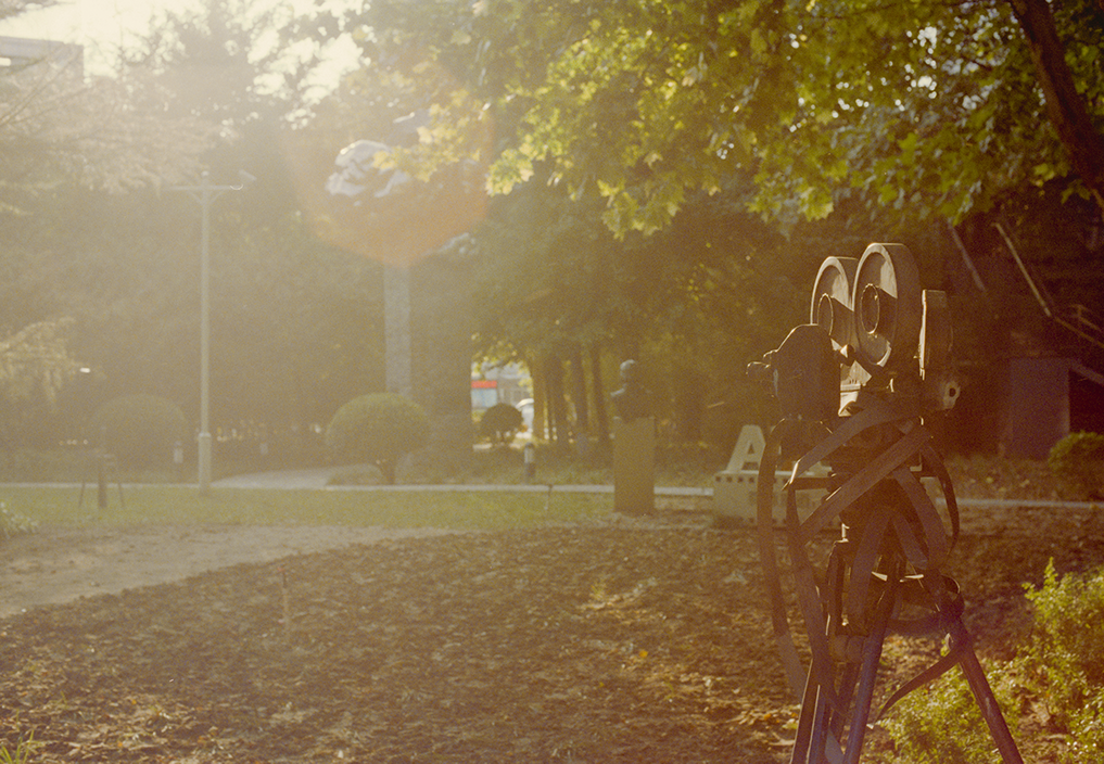 Photography Series 03, image 4