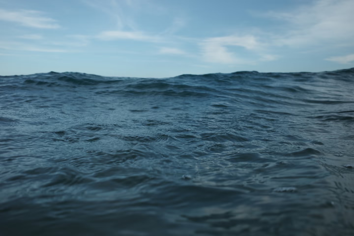 Photography Series 04, image 3