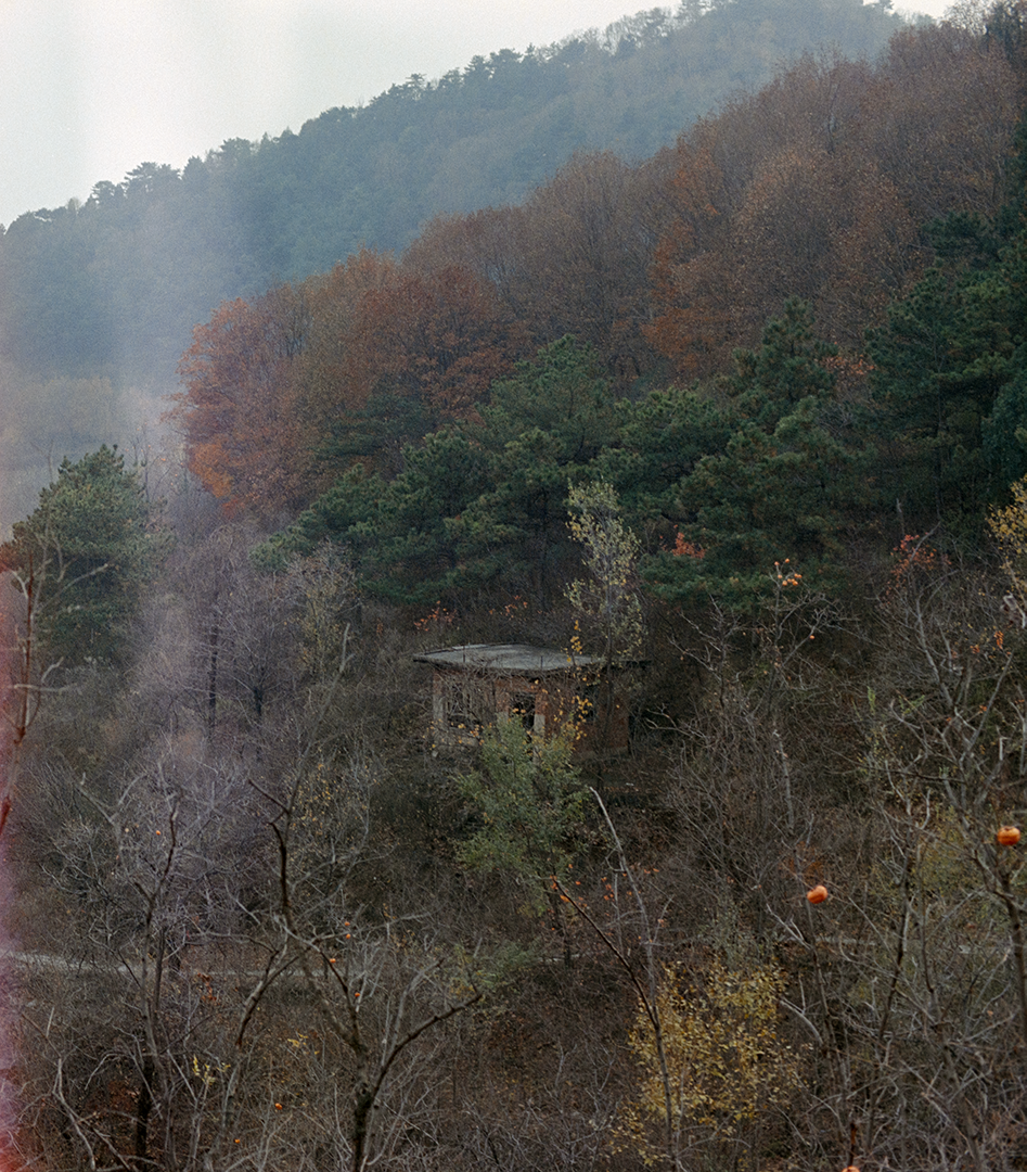 Photography Series 05, image 11