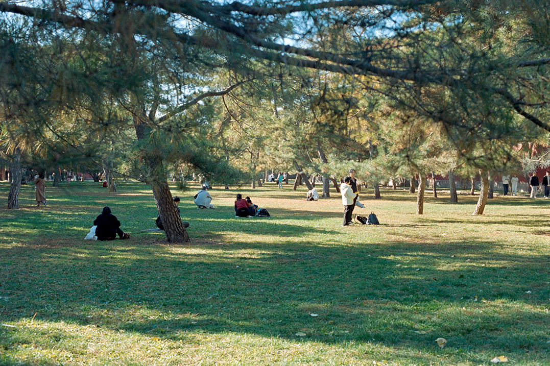 Photography Series 05, image 3