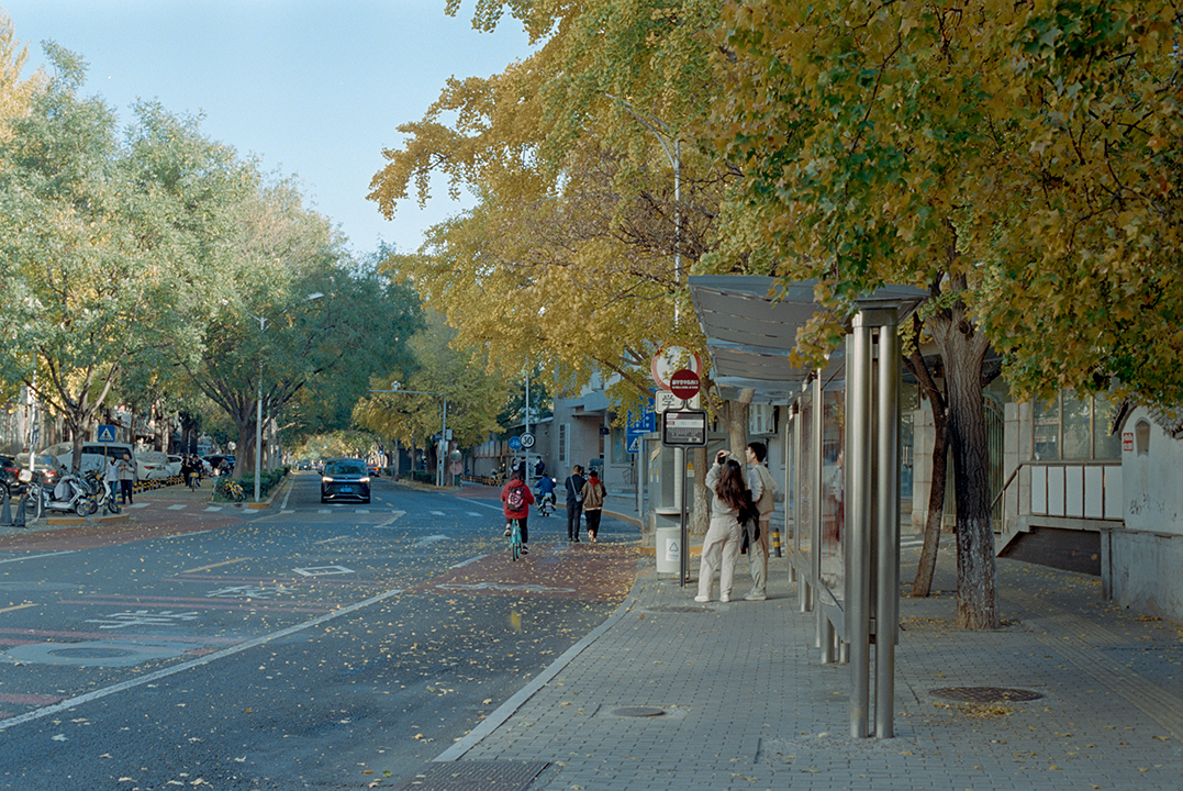 Photography Series 05, image 4