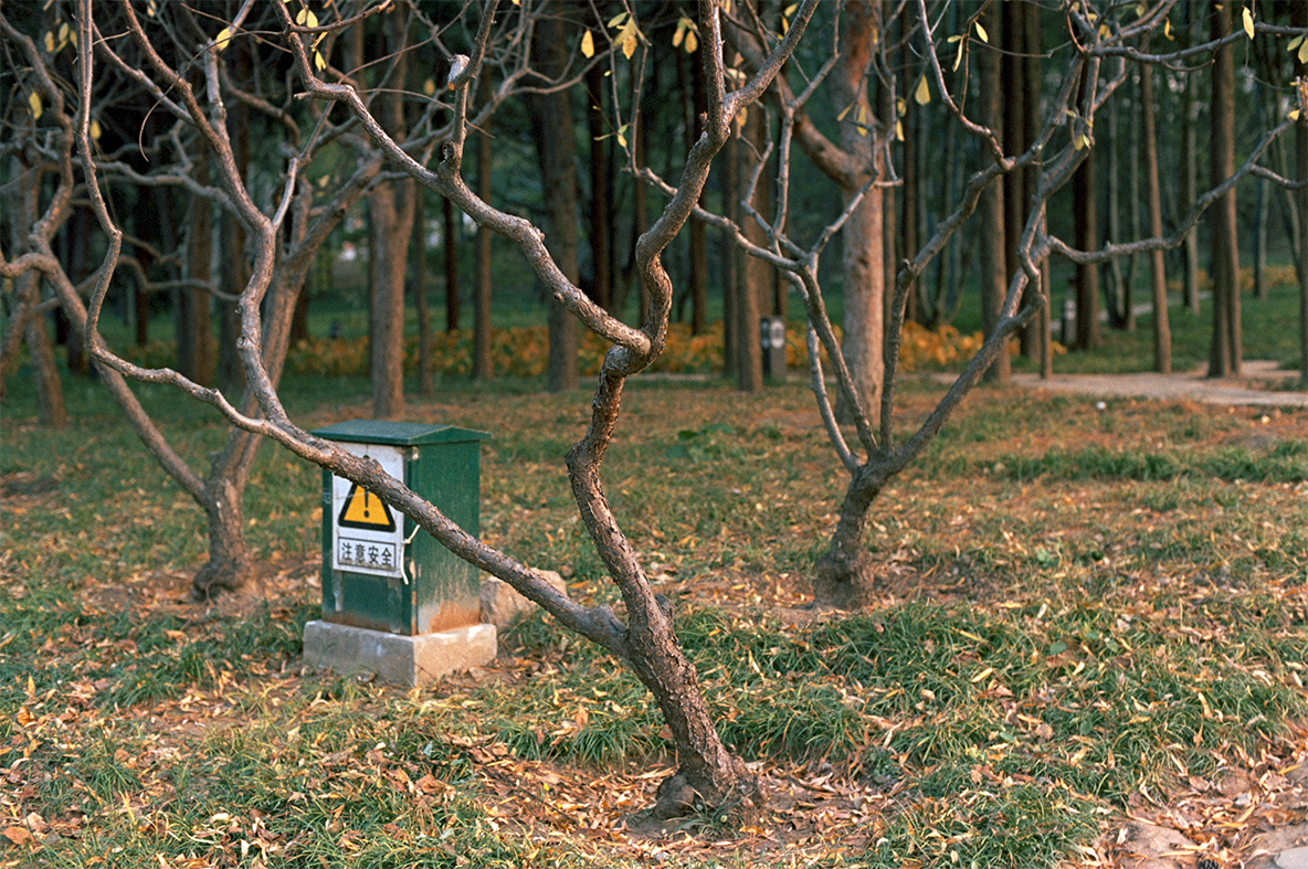 Photography Series 05, image 7