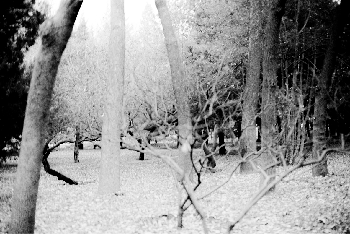Photography Series 06, image 10