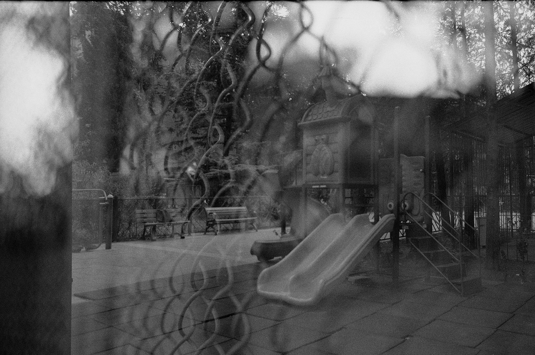 Photography Series 06, image 2