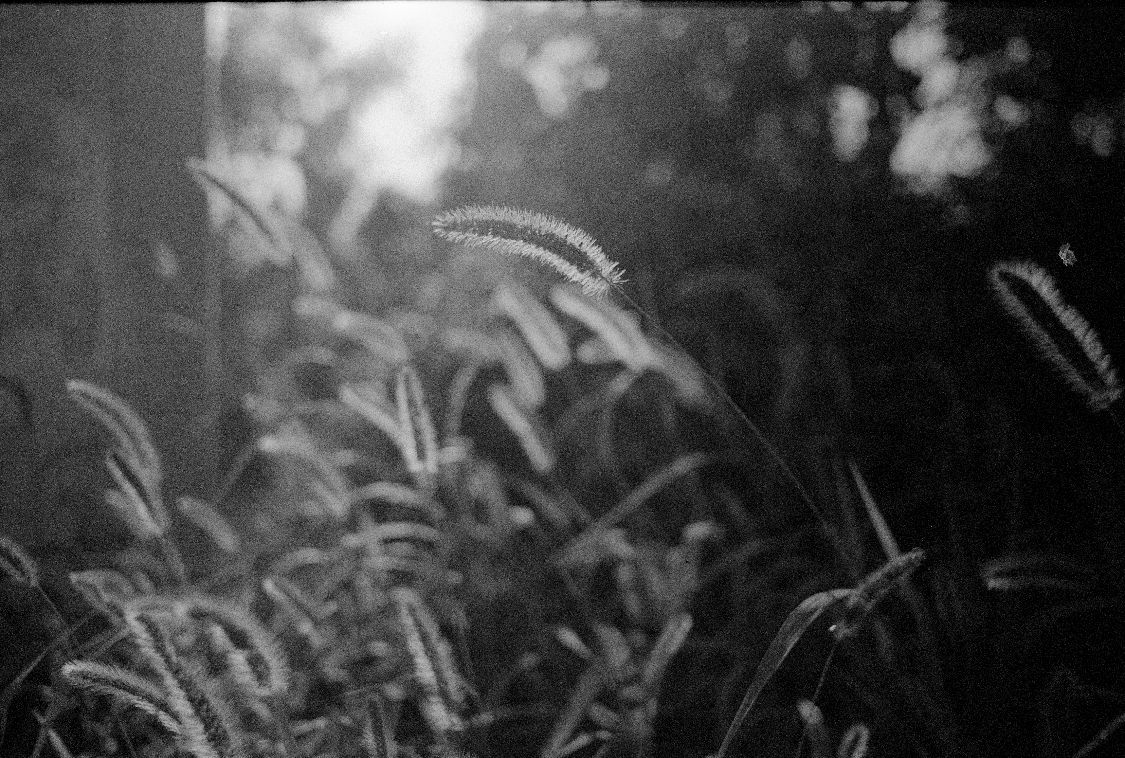 Photography Series 06, image 4