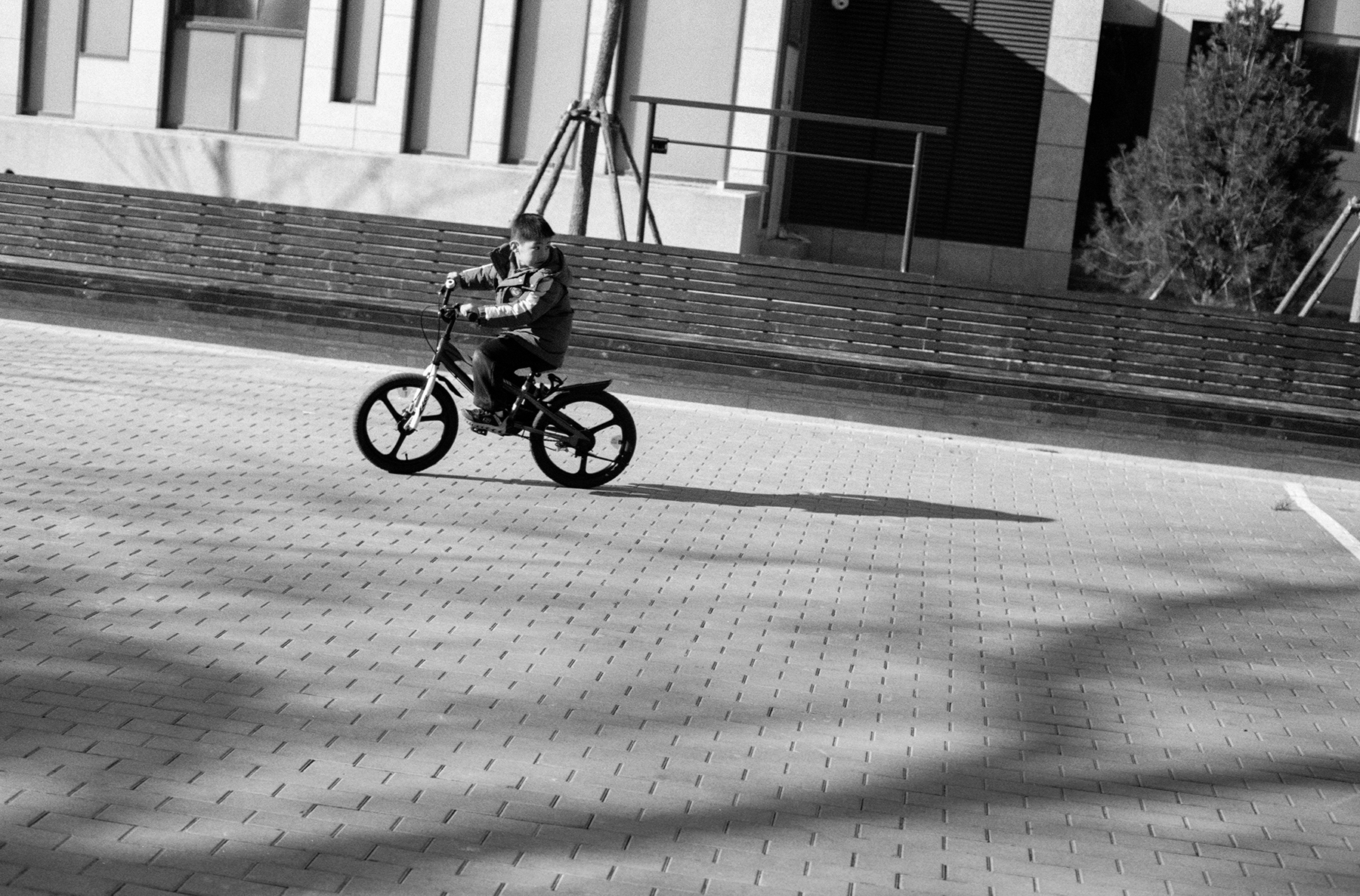 Photography Series 06, image 7
